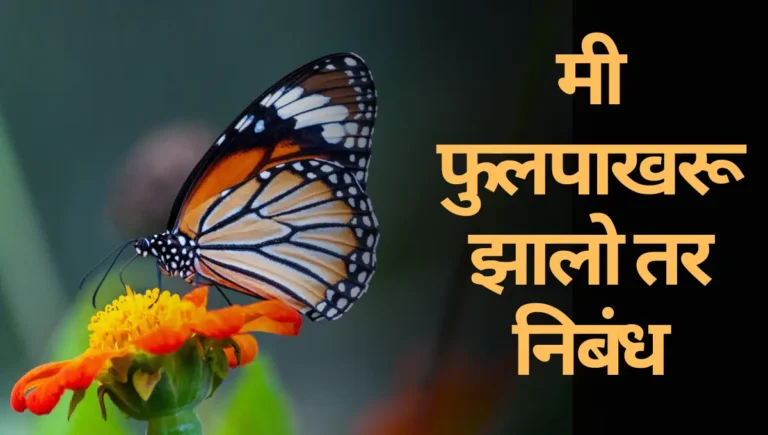 Mi Phulpakharu Zalo Tar Nibandh Marathi: मी फुलपाखरू झालो तर निबंध मराठी
