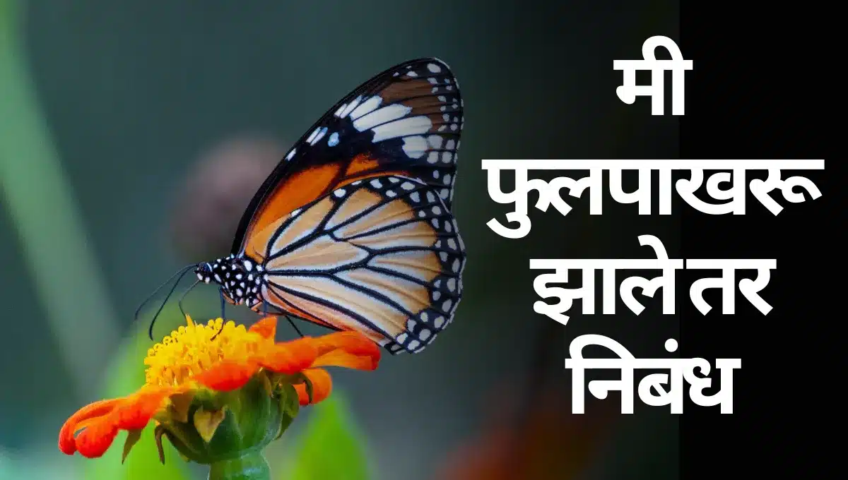 Mi Phulpakharu Zale Tar Marathi Nibandh: मी फुलपाखरू झाले तर