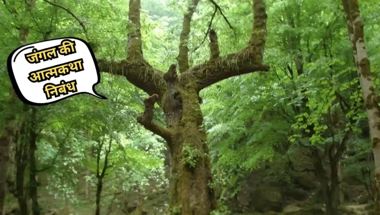 Jungle ki Atmakatha Nibandh: जंगल की आत्मकथा निबंध